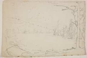 Meer van dode bomen, Catskill, 1825